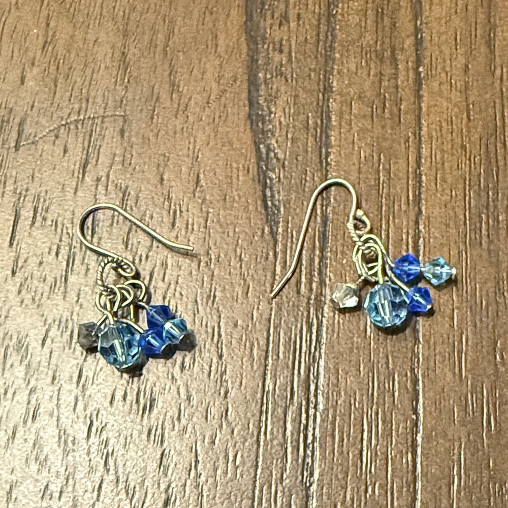 Blue and Silver Dangle Earrings